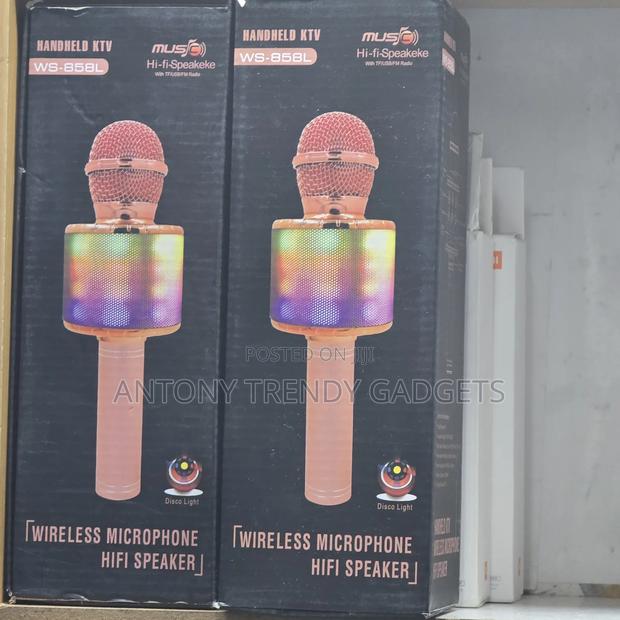 Karaoke Kids Microphones