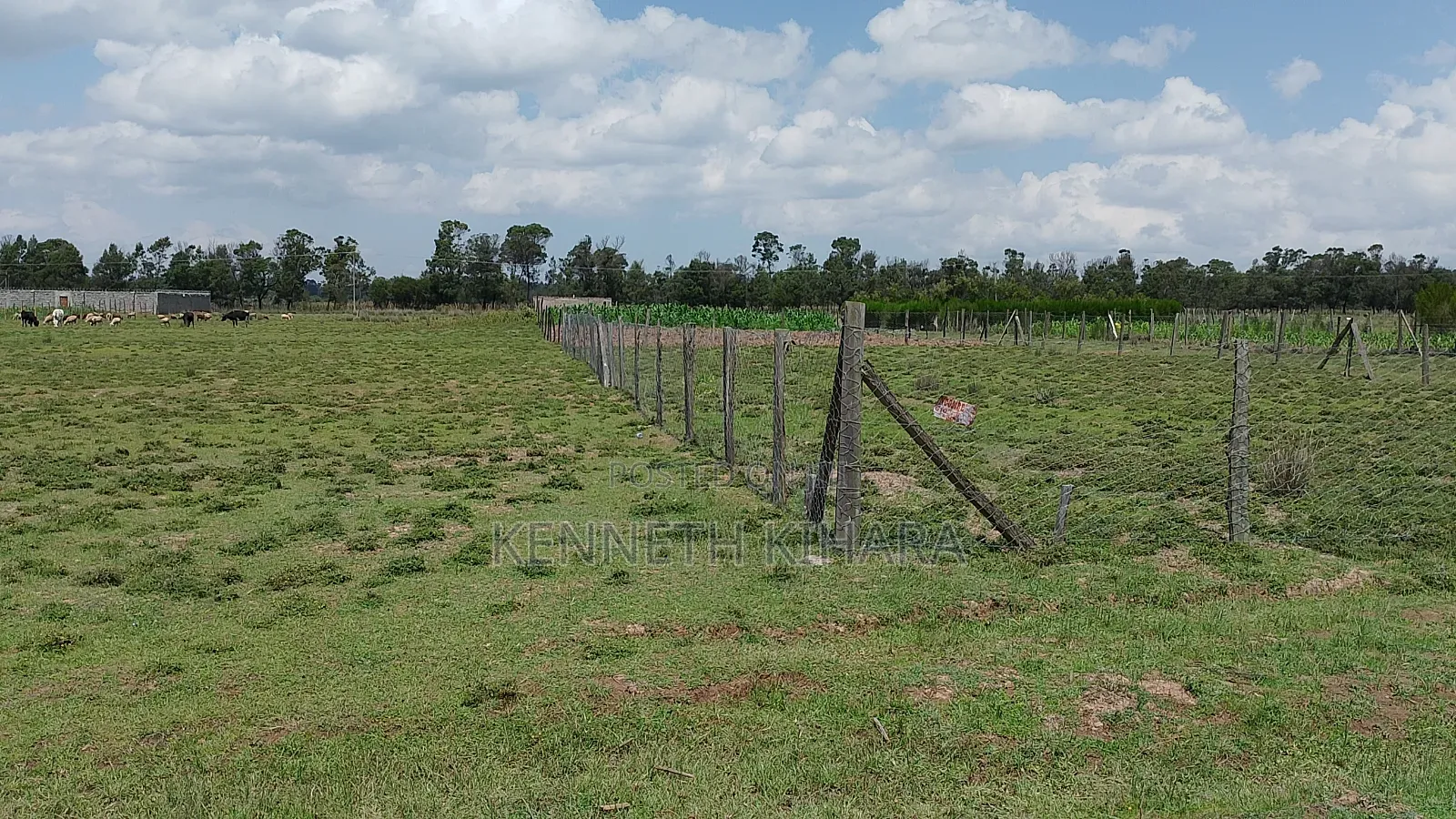 Plots 50 by 100 Plots at Kasuku(Olives Gardens Estate), Nyahururu