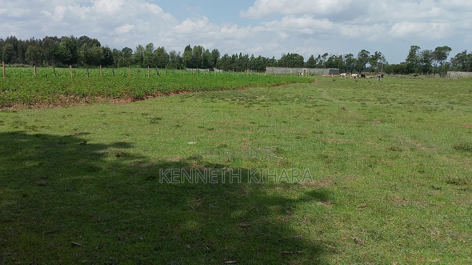Plots 50 by 100 Plots at Kasuku(Olives Gardens Estate), Nyahururu