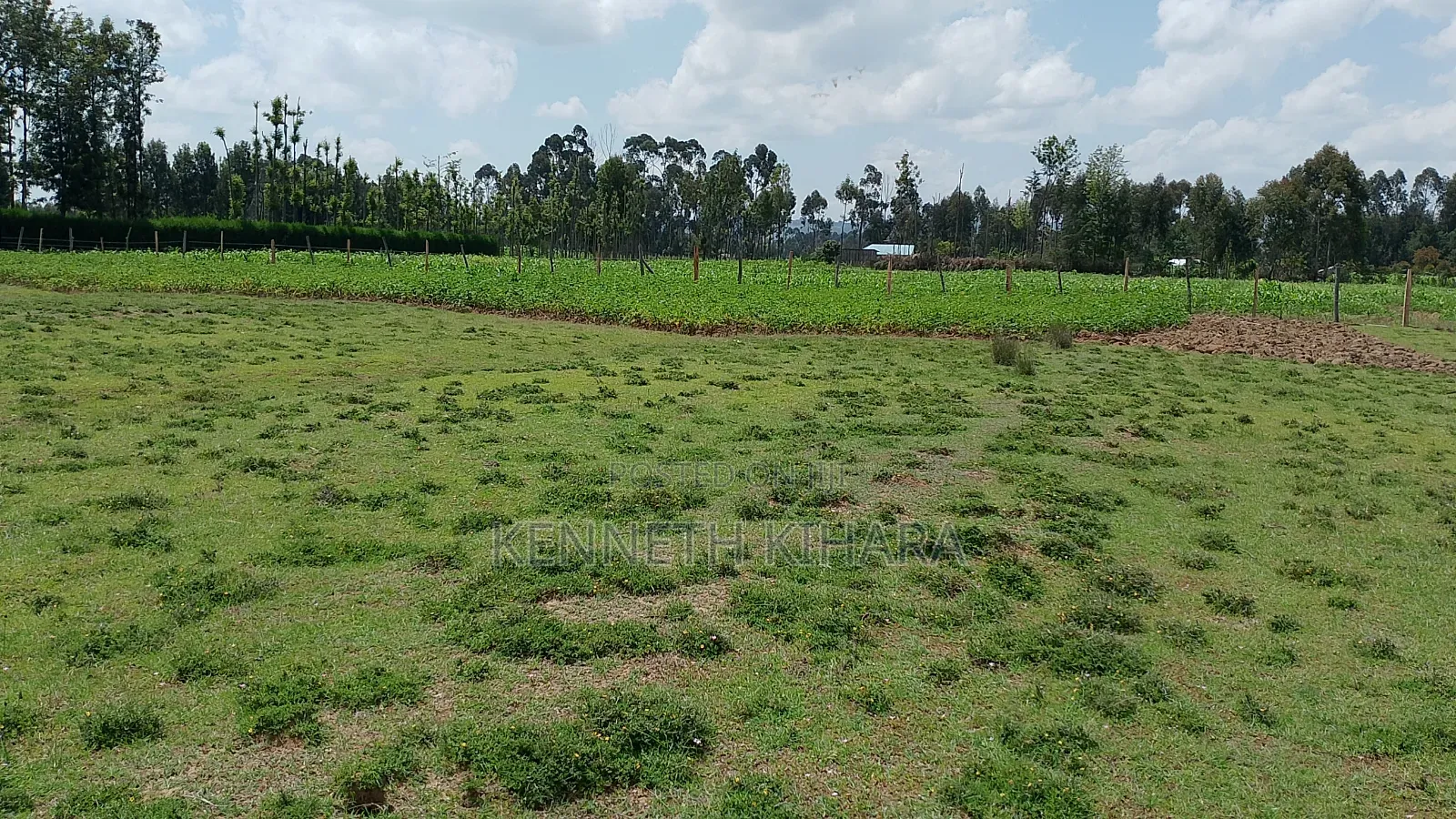 Plots 50 by 100 Plots at Kasuku(Olives Gardens Estate), Nyahururu