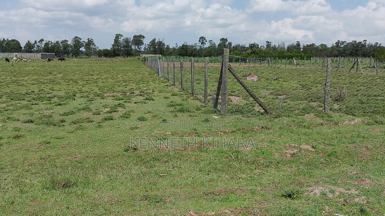 Plots 50 by 100 Plots at Kasuku(Olives Gardens Estate), Nyahururu