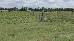 Plots 50 by 100 Plots at Kasuku(Olives Gardens Estate), Nyahururu