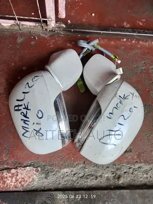 Toyota Mark Zio Side Mirror