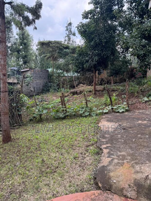 Quarter Acre With 2 Bedroom House - thumbnail 7