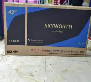 Skyworth 43 Smart Google Tv