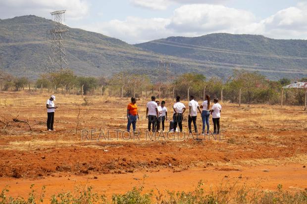 Voi Plots (Tarmac) - thumbnail 5