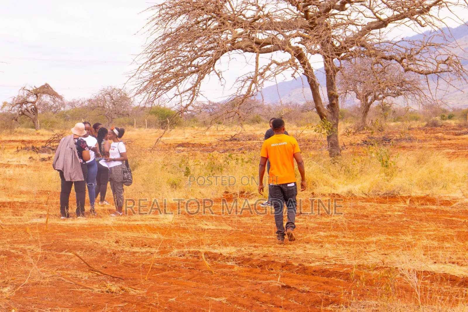 Voi Plots (Tarmac)