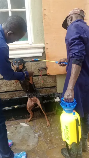 Dogs Fleas Control Services