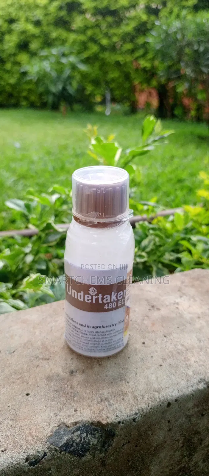 Undertaker Termiticide 100ml