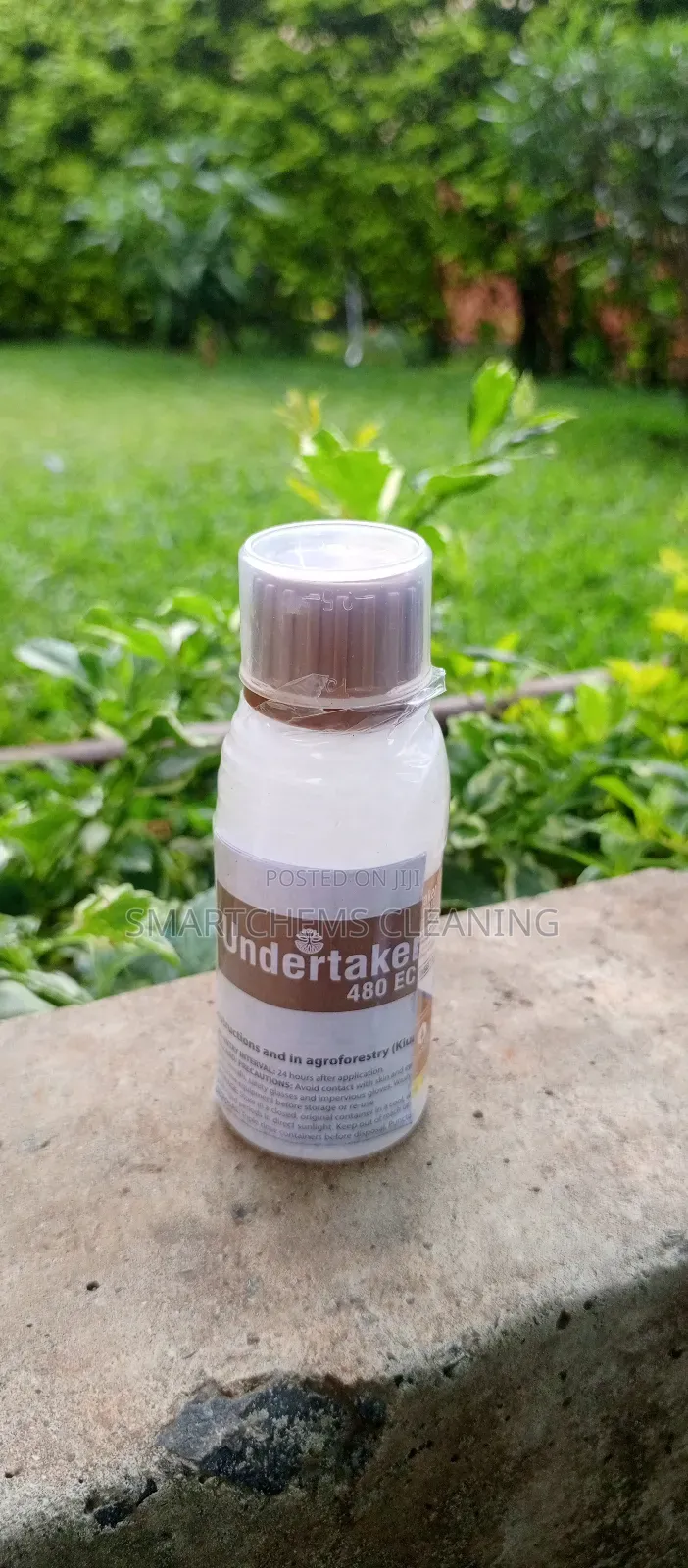 Undertaker Termiticide 100ml