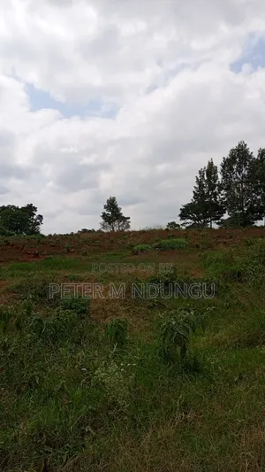 Prime Land on Sale, 55 Acres