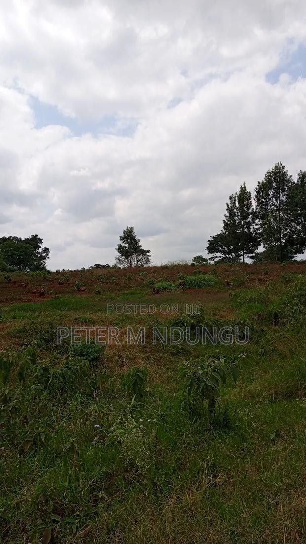 Prime Land on Sale, 55 Acres - thumbnail 2