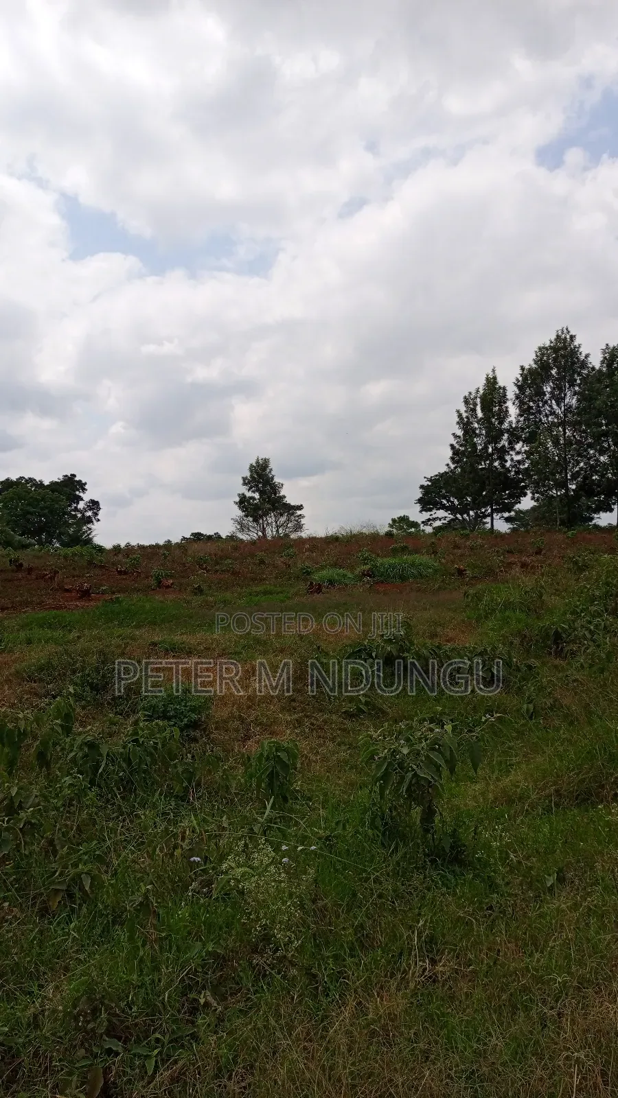 Prime Land on Sale, 55 Acres