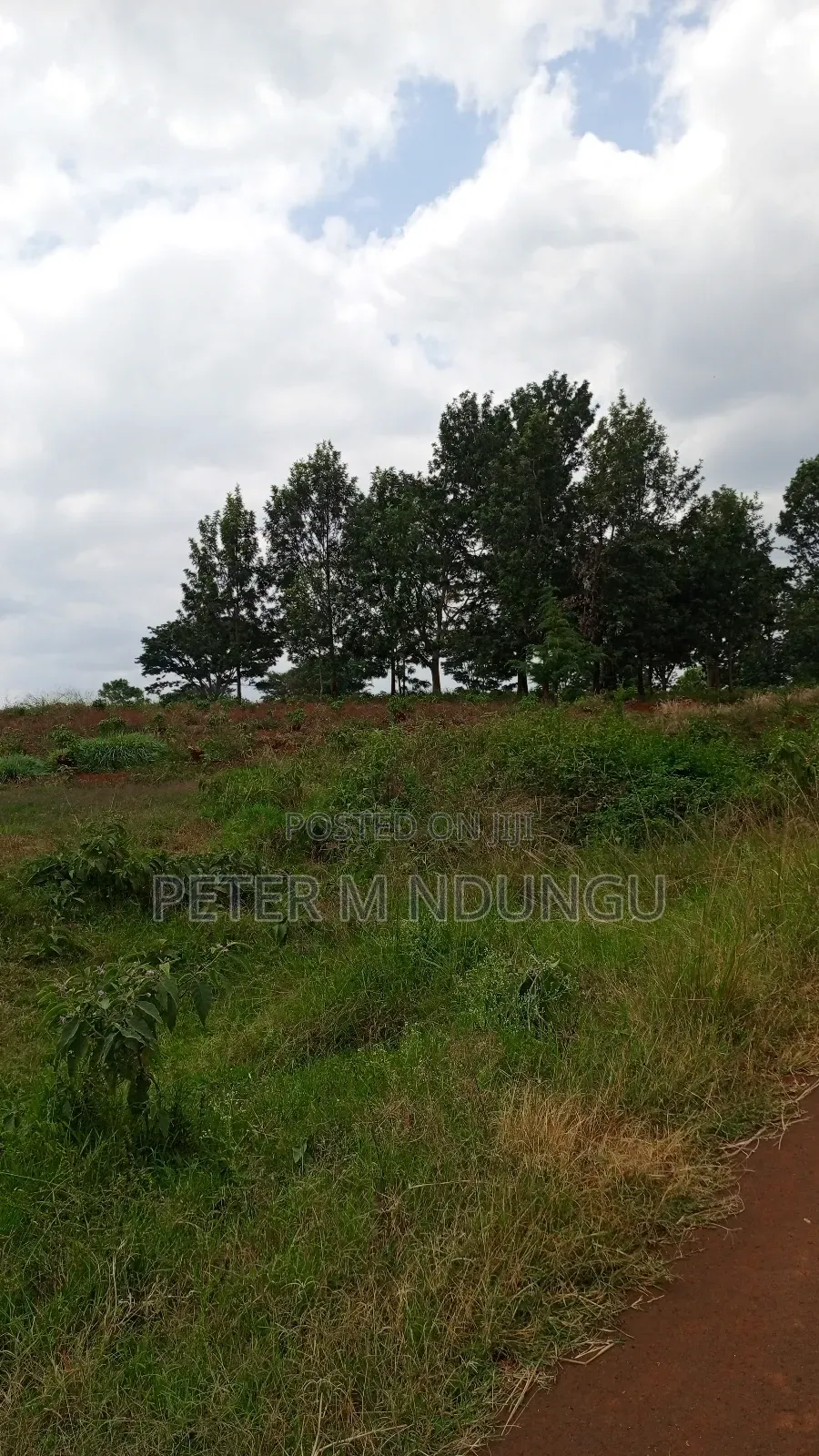 Prime Land on Sale, 55 Acres