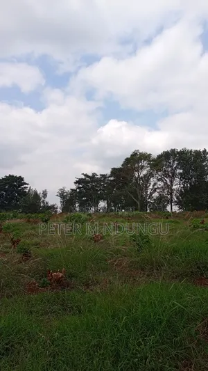 Prime Land on Sale, 55 Acres