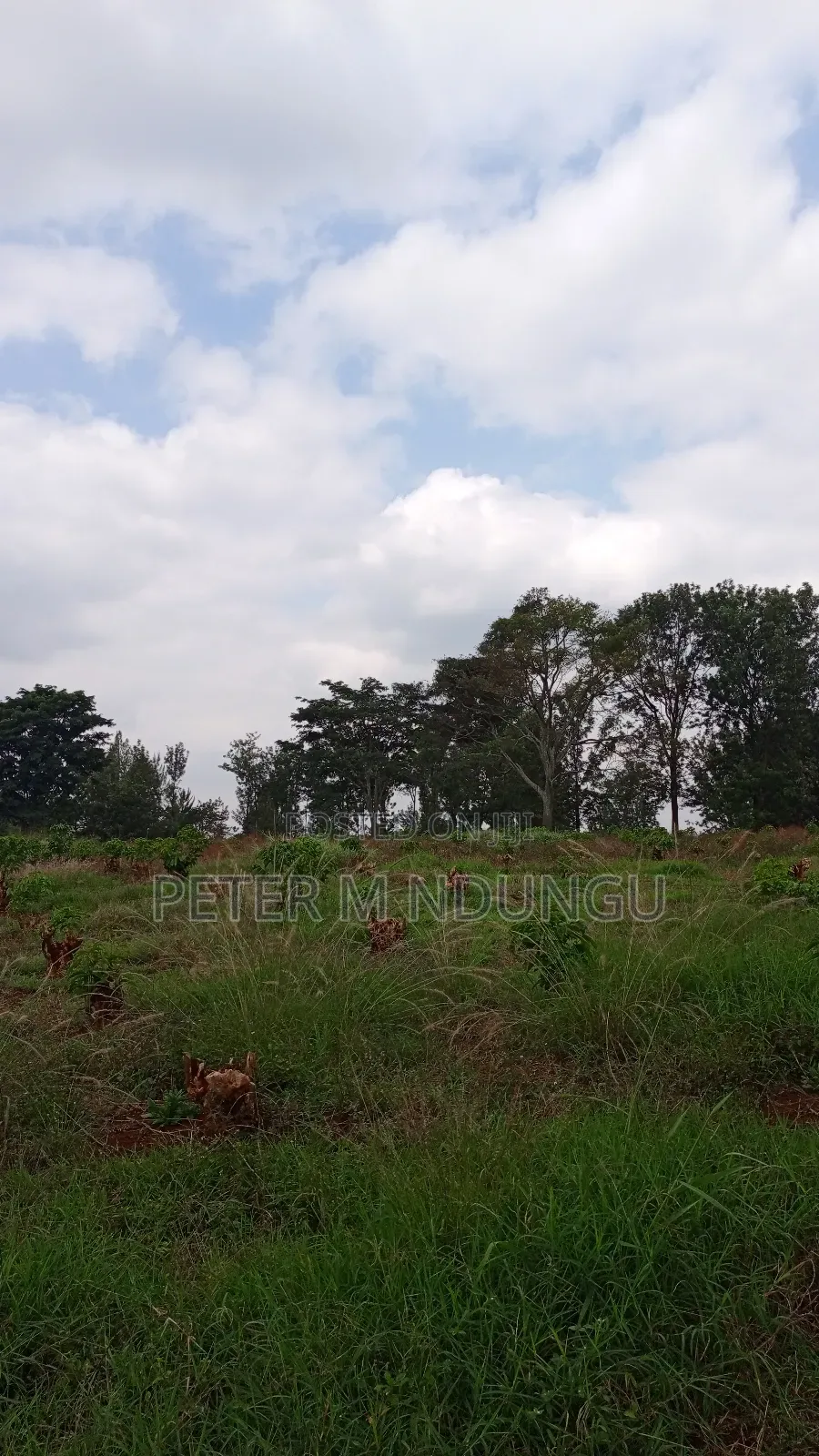 Prime Land on Sale, 55 Acres