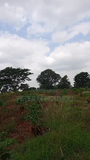Prime Land on Sale, 55 Acres