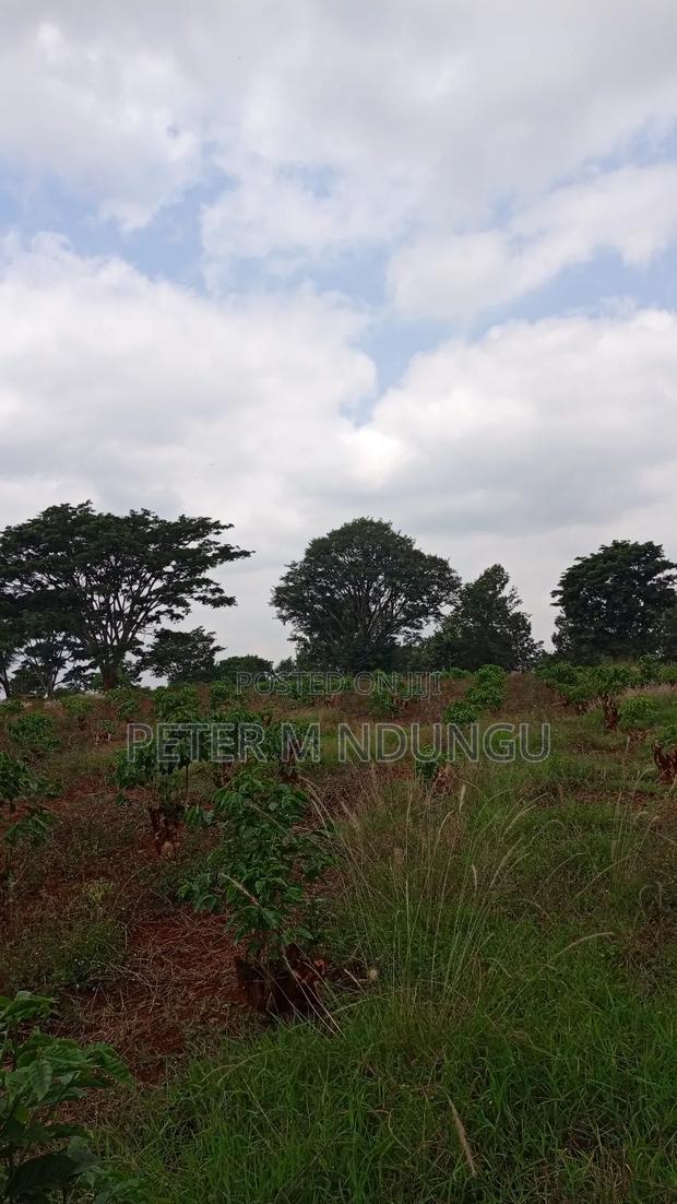 Prime Land on Sale, 55 Acres - thumbnail 5