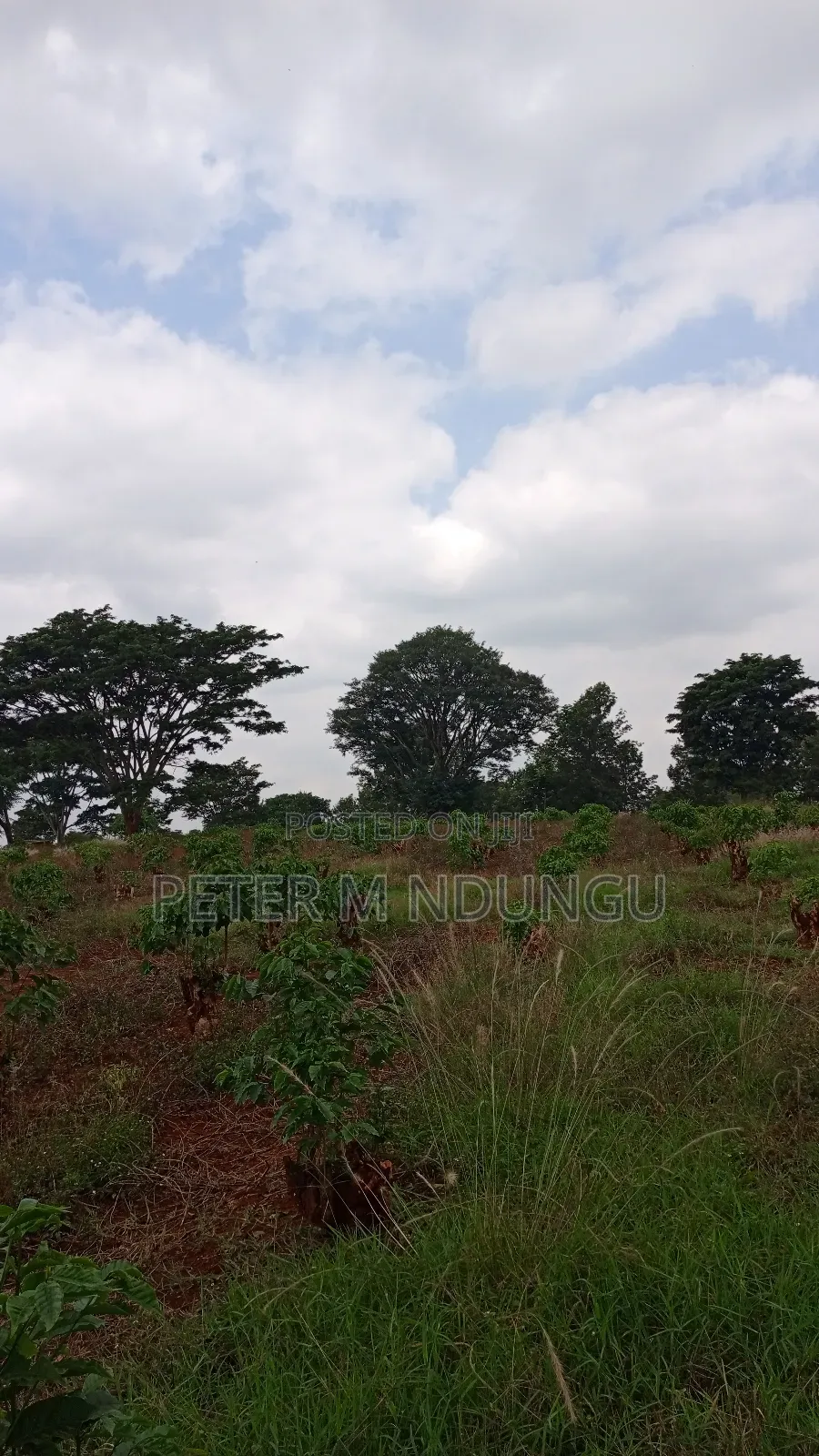 Prime Land on Sale, 55 Acres