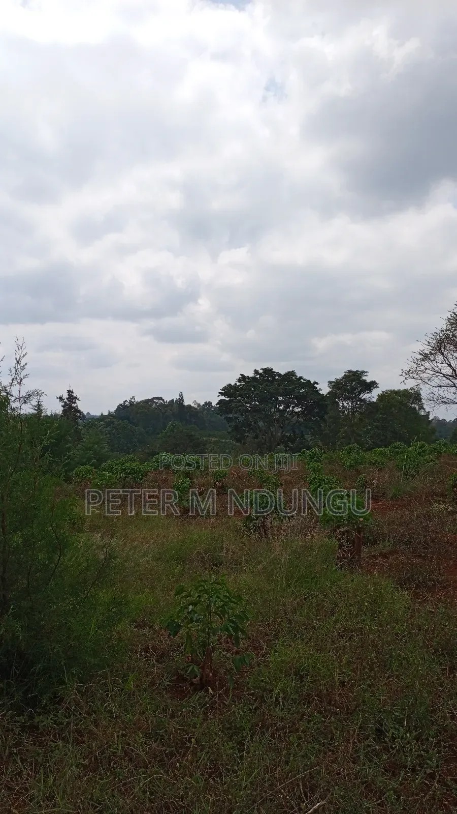 Prime Land on Sale, 55 Acres
