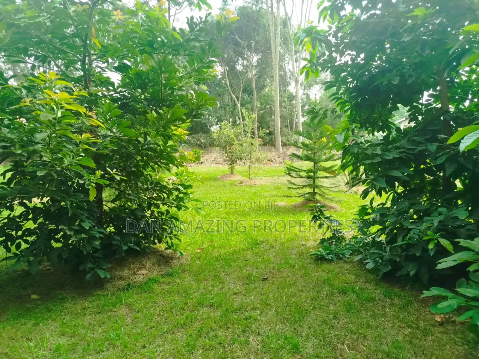 1 Acre With 2bdr Bungalow Plus DSQ Karen Windridge for Sale