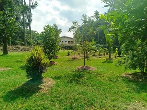 1 Acre With 2bdr Bungalow Plus DSQ Karen Windridge for Sale