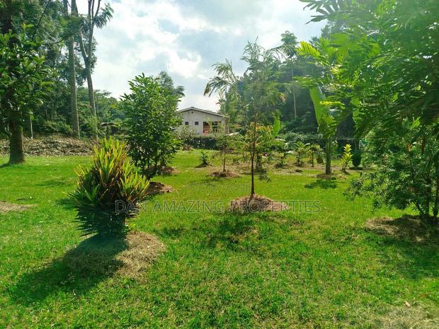 1 Acre With 2bdr Bungalow Plus DSQ Karen Windridge for Sale - thumbnail 3