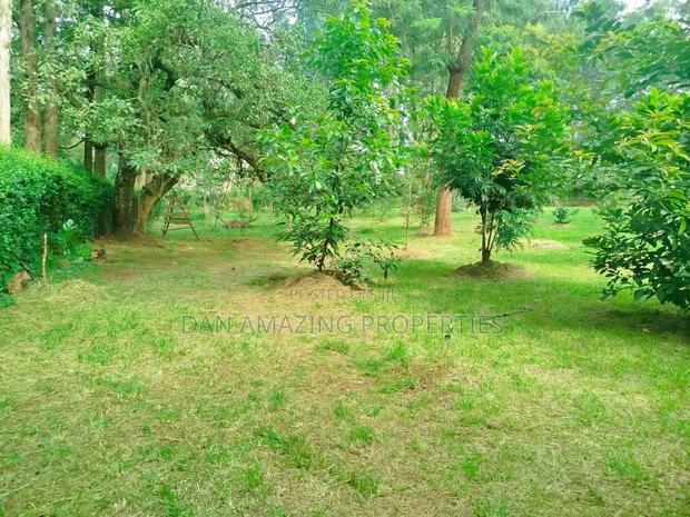 1 Acre With 2bdr Bungalow Plus DSQ Karen Windridge for Sale - thumbnail 4