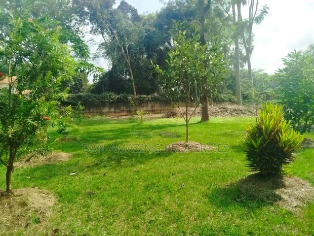 1 Acre With 2bdr Bungalow Plus DSQ Karen Windridge for Sale - thumbnail 5