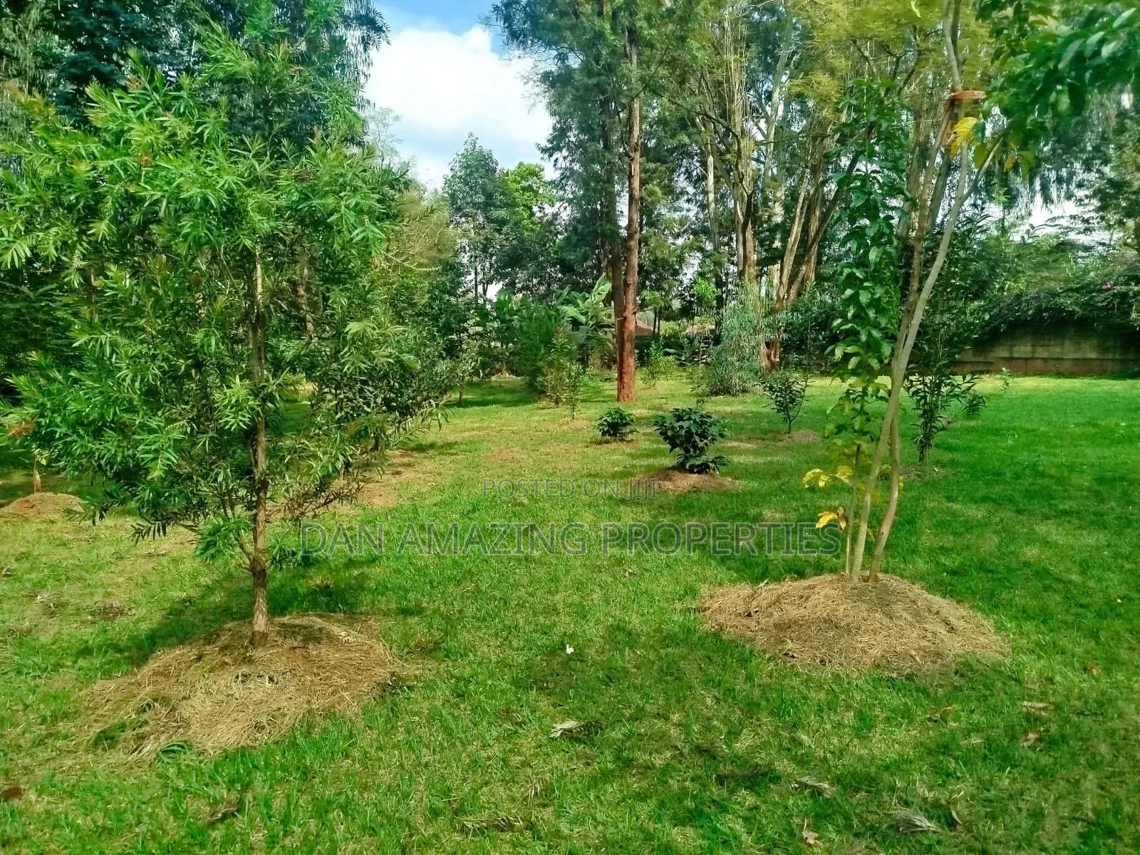 1 Acre With 2bdr Bungalow Plus DSQ Karen Windridge for Sale