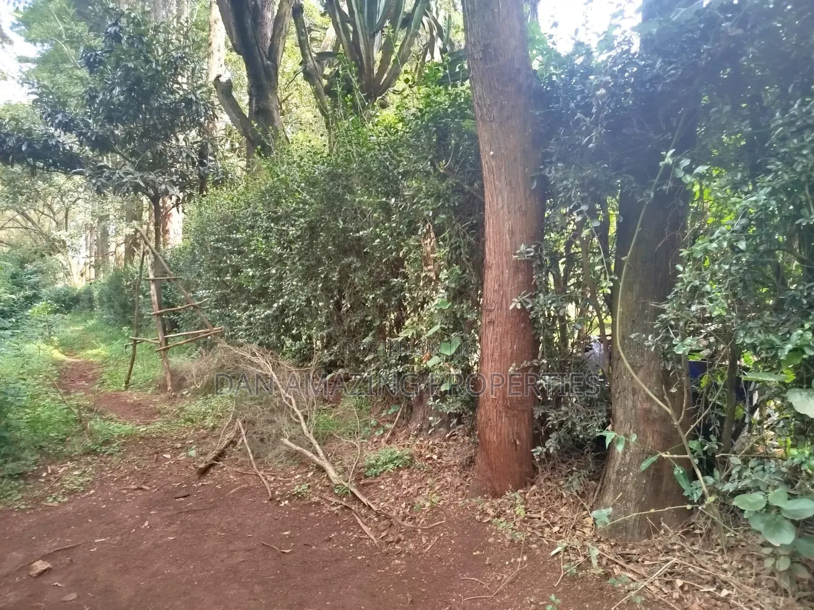 1 Acre With 2bdr Bungalow Plus DSQ Karen Windridge for Sale