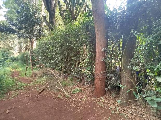 1 Acre With 2bdr Bungalow Plus DSQ Karen Windridge for Sale - thumbnail 7