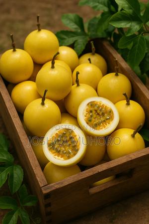Sweet Yellow Passion Fruit - main view