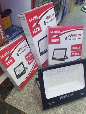Neelux Led Floodlight 100 Watts, Legendary Lighting