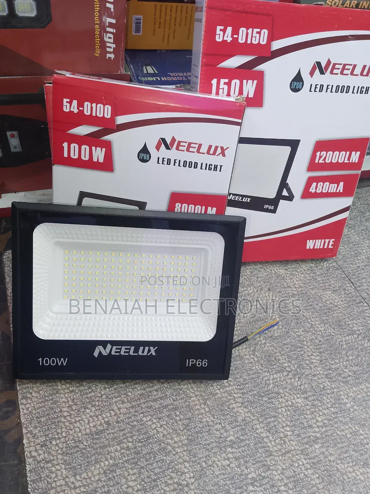 Neelux Led Floodlight 100 Watts, Legendary Lighting