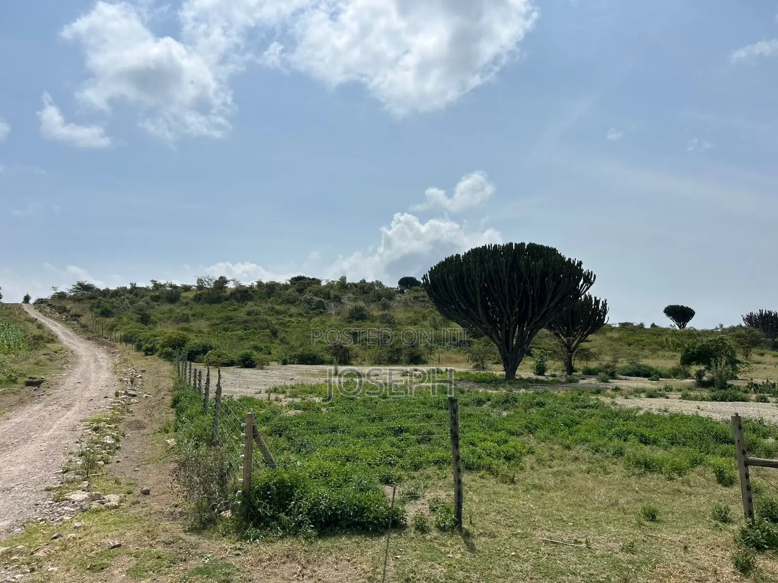 Naivasha Moi Ndabi Sero 22.9acres,Eletric Fenced
