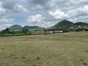 Naivasha Moi Ndabi Sero 22.9acres,Eletric Fenced
