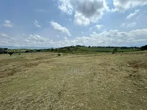 Naivasha Moi Ndabi Sero 22.9acres,Eletric Fenced
