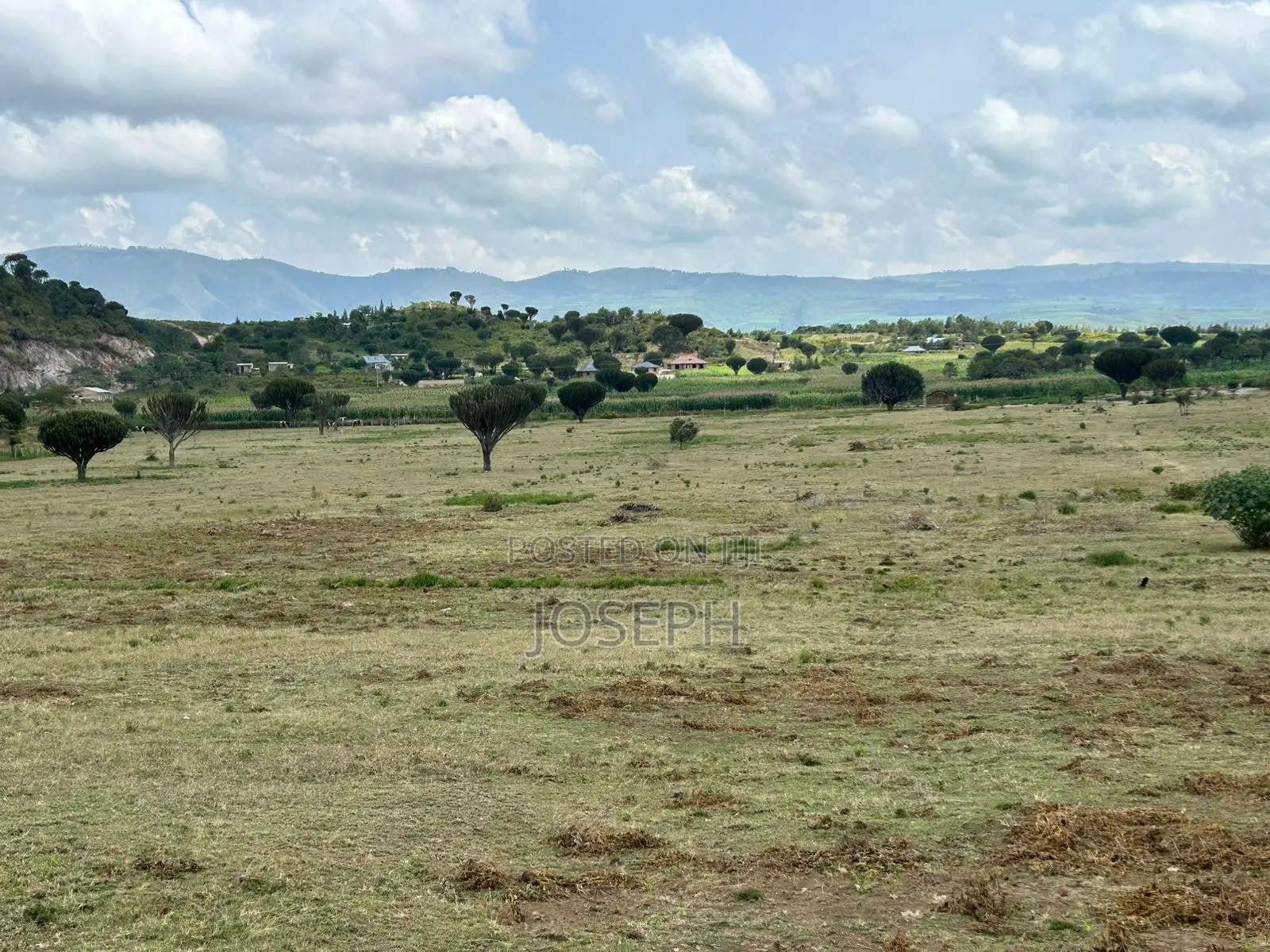 Naivasha Moi Ndabi Sero 22.9acres,Eletric Fenced