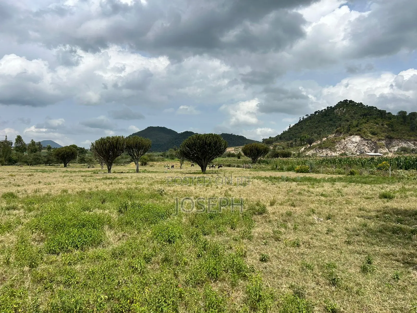 Naivasha Moi Ndabi Sero 22.9acres,Eletric Fenced