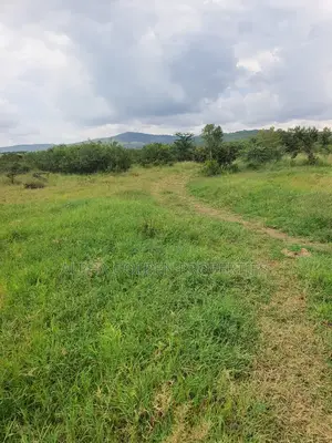 Nanyuki 230 Acres