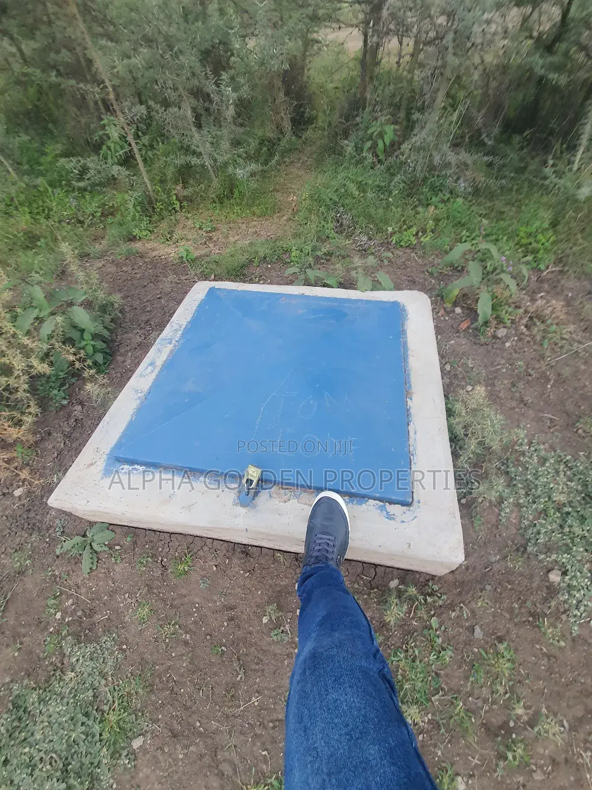 Nanyuki 230 Acres