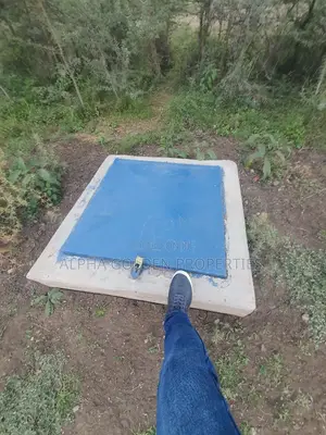 Nanyuki 230 Acres