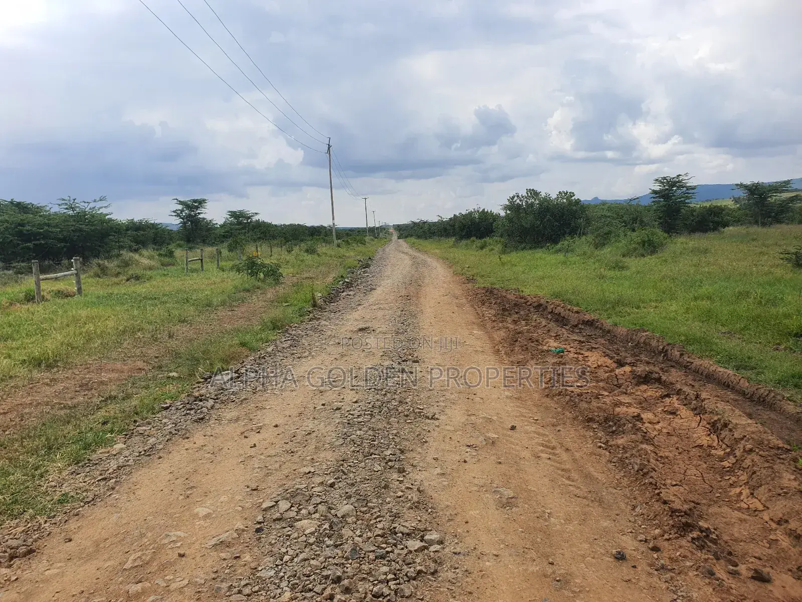 Nanyuki 230 Acres