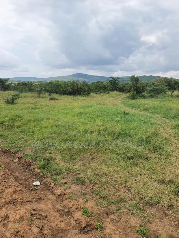 Nanyuki 230 Acres - thumbnail 5