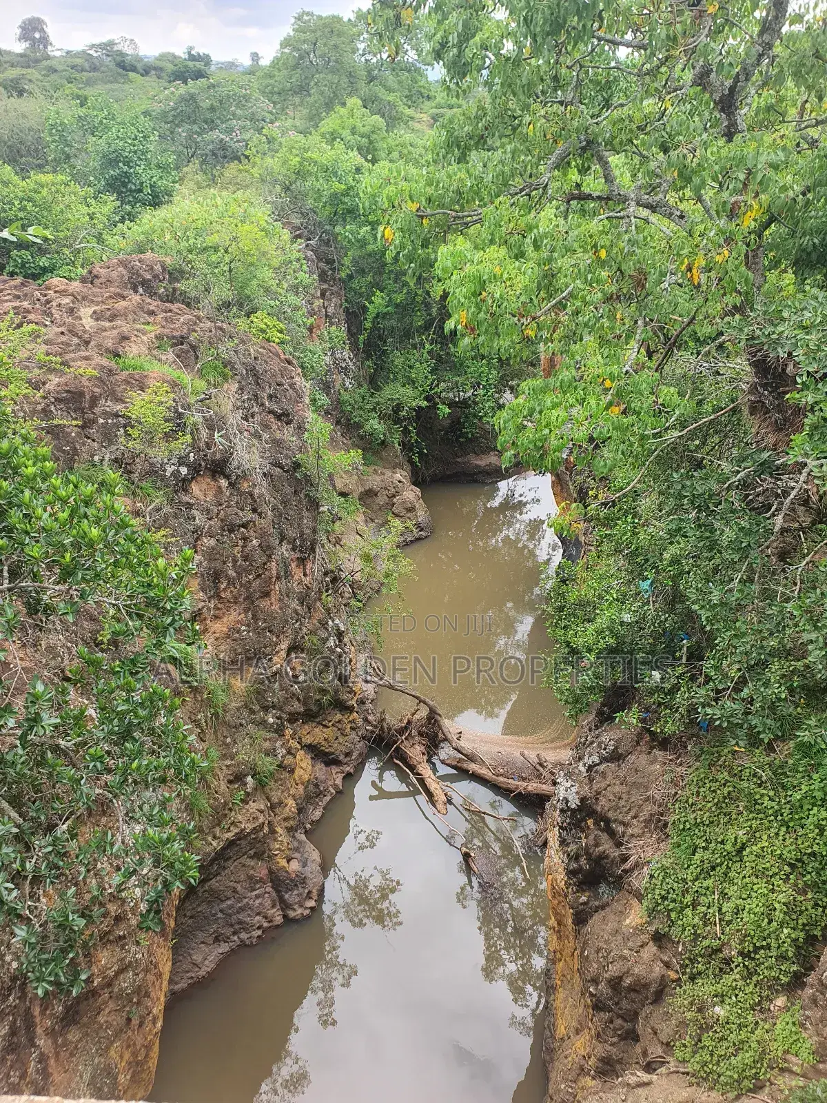 Nanyuki ,5 Acres Land Touching Tarmac and River!