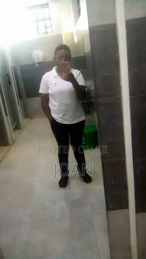 Housekeeping Cleaning CV