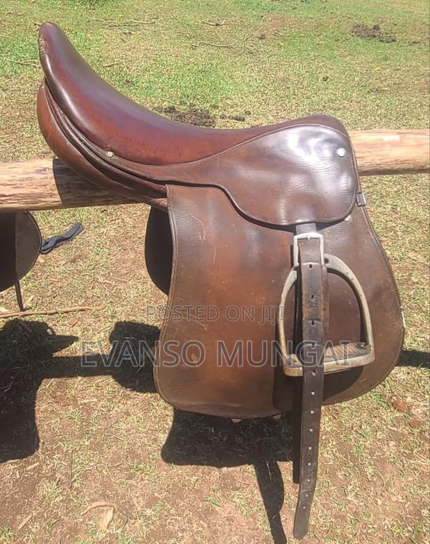 Horse Equipment
