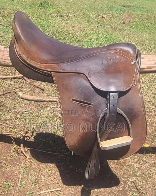 Horse Equipment - thumbnail 2