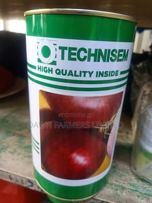 Onion Red Creole 500g - main view